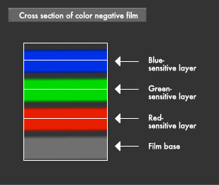 Illust:Cross section of color negative film