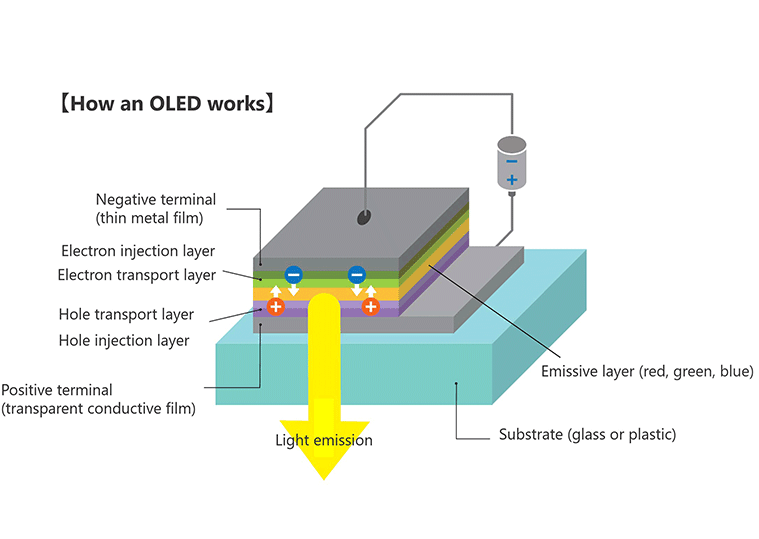 How an OLED works