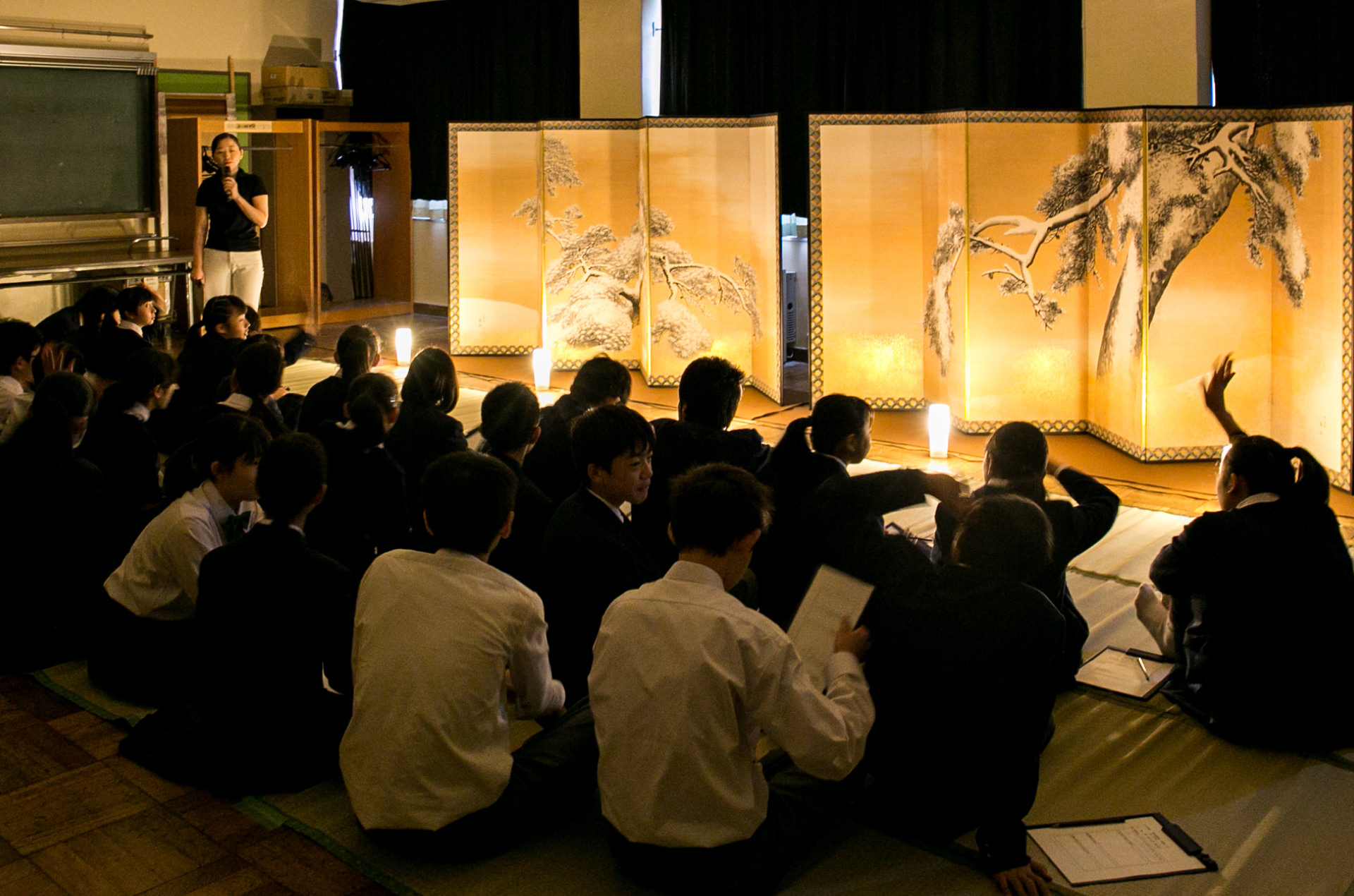 Pine Trees in the Snow