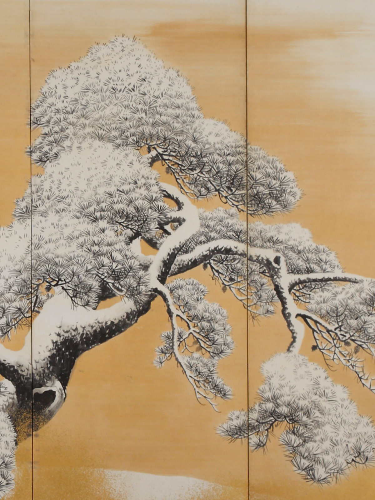 Pine Trees in the Snow