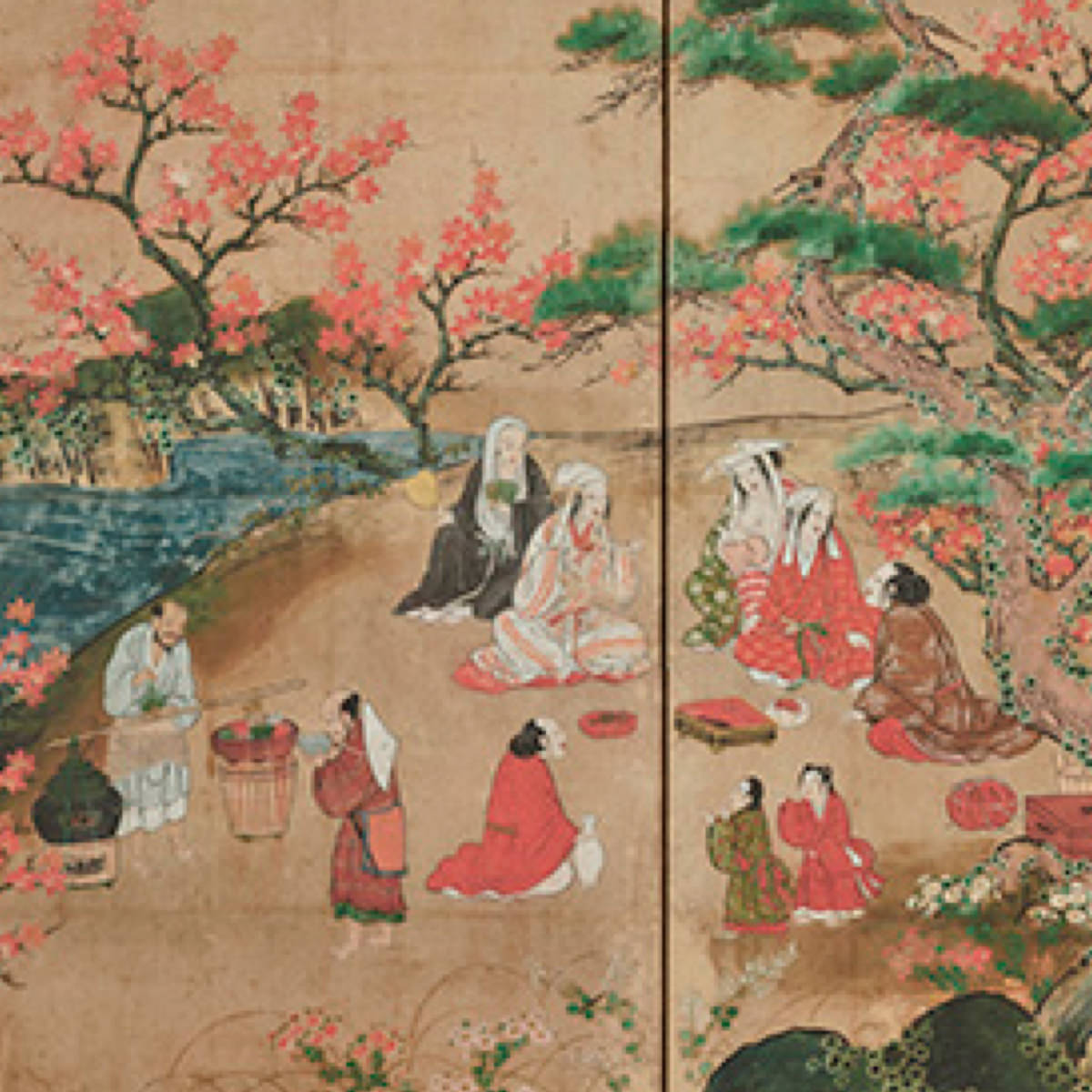 Viewing Maple Leaves