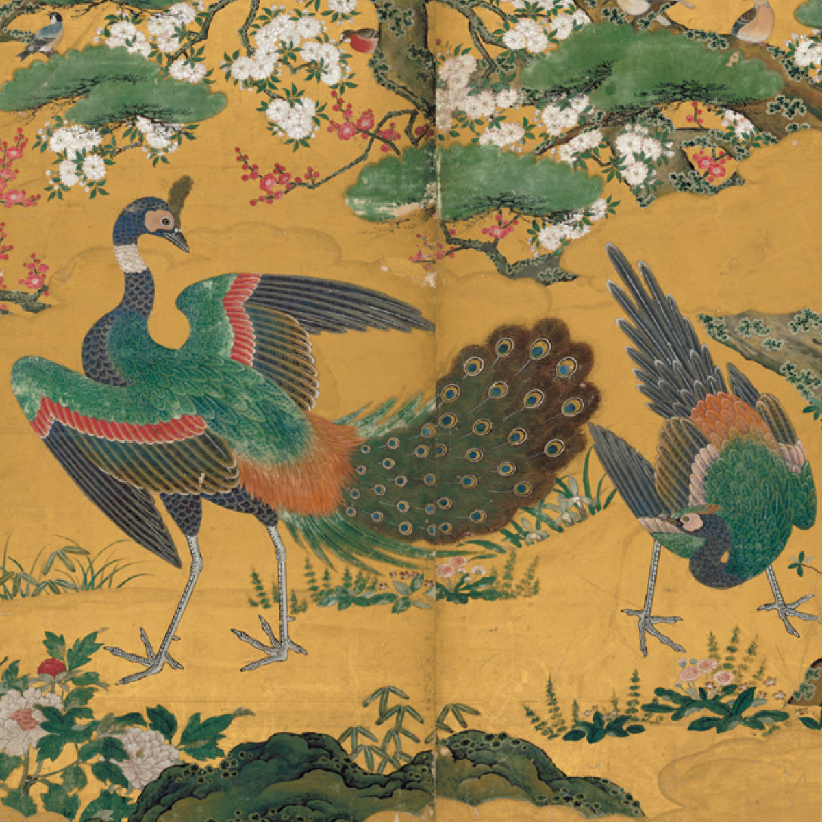 Flowers and Birds of the Four Seasons