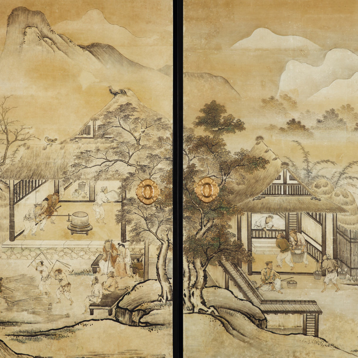 Scene of Rice Cultivation