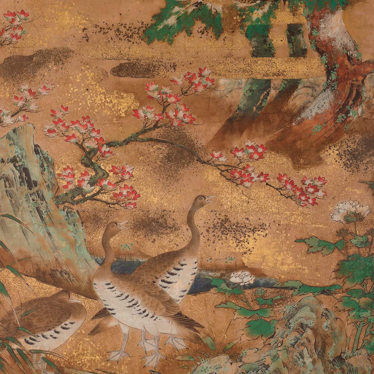 Birds and Flowers of Autumn and Winter