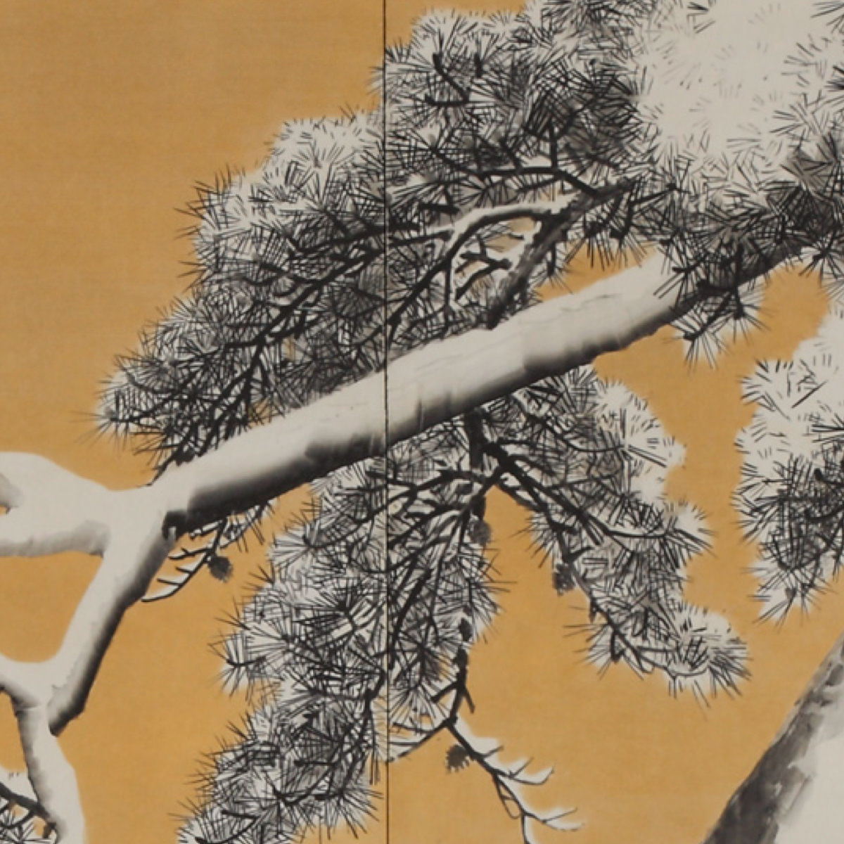 Pine Trees in the Snow