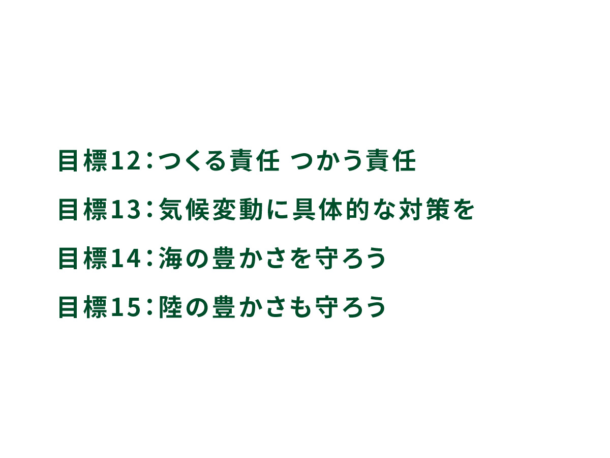 目標12、目標13、目標14、目標15