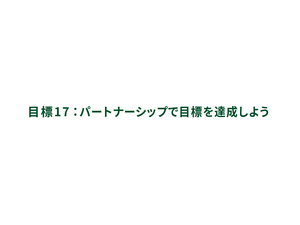 目標17