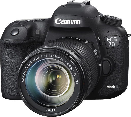 キヤノン Canon EOS 7D Mark II ボディ目立つアタリなどはありません