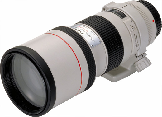 EF300mm F4L USM - キヤノンカメラミュージアム