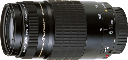 【美品】Canon EF 75-300mm 1:4-5.6 IS USM