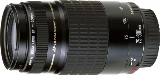 CANON ズームレンズ EF 75-300mm F4-5.6 IS USM - レンズ(ズーム)