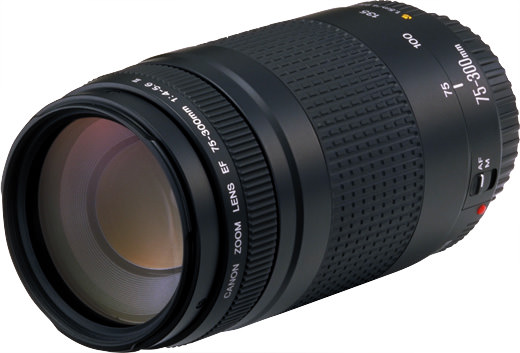 カメラ レンズ(ズーム) EF75-300mm f/4-5.6 II - キヤノンカメラミュージアム