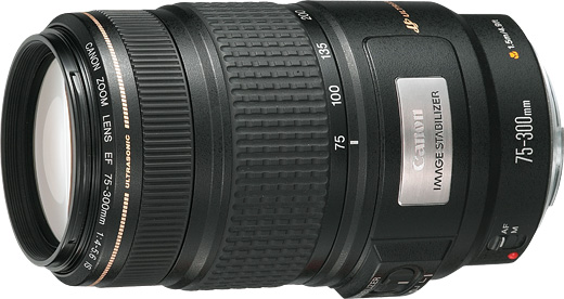 Canon EF 75-300mm F4-5.6 IS USM #9090 - レンズ(ズーム)