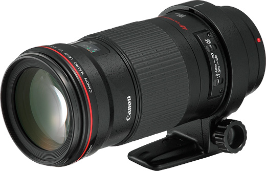 Canon EF180mm F3.5L マクロ USM-