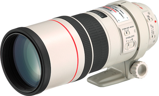 クリアな光学】 Canon EF 300mm F4 L IS USM レンズ | www.innoveering.net