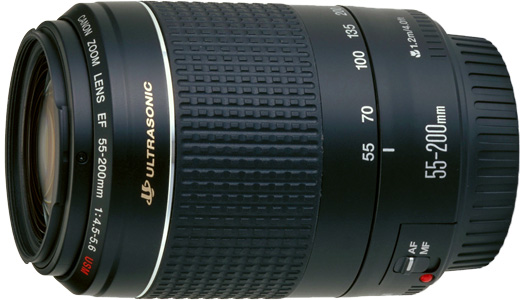 Canon 55-200mm MACRO 1.0m / 3.3ft