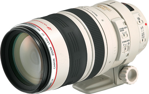 Canon EF 100-400mm F4.5-5.6 L IS USM レンズ - レンズ(ズーム)