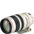 EF100-400mm F4.5-5.6L IS USMの写真