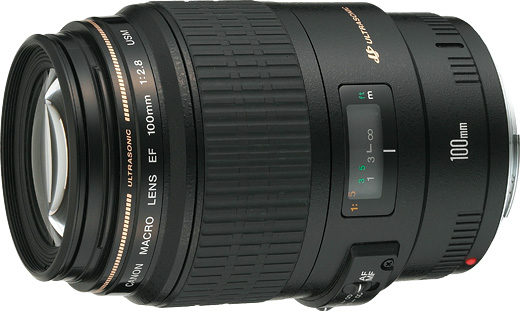 マクロレンズ Canon EF100mm F2.8 USM MACRO - レンズ(単焦点)