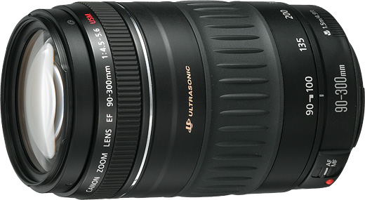 変更OK Canon EF 90-300mm F4.5-5.6 USM(品) | www.tobighana.com