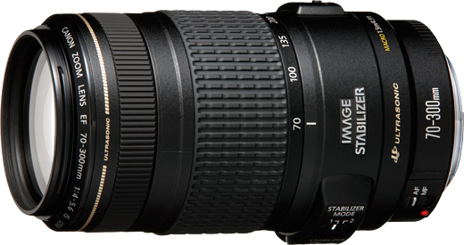 Canon EF 70-300mm 4-5.6 IS USM フード付