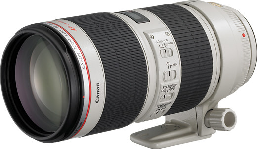 Canon EF70-200mm F2.8L IS II USM #368