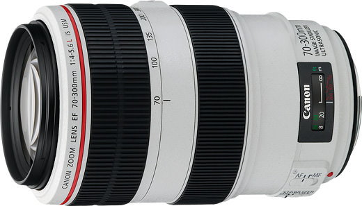 EF70-300mm F4-5.6L IS USM - キヤノンカメラミュージアム