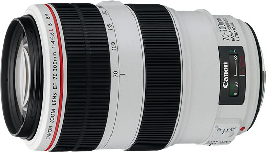 充実の品 EF70-300mm Canon レンズ(ズーム) f4-5.6L USM IS レンズ