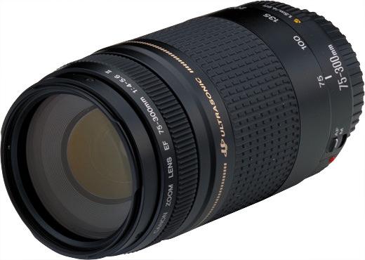 【望遠レンズ】Canon EF75-300mm F4-5.6 II USM