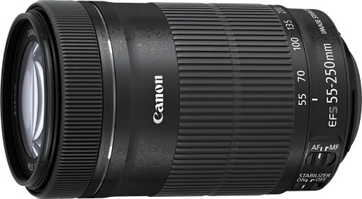 Canon EF-S55-250mm F4-5.6 IS STM レンズ-