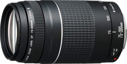 ⭐CanonZoom Rens EF75-300 1:4-5.6 IS USM