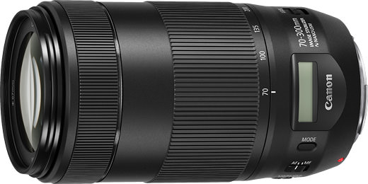 日本仕様正規品 キャノン Canon EF 70-300mm F4-5.6 IS USM - カメラ