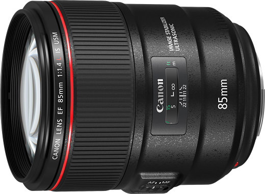 Canon EF85mm F1.4L IS USM | www.gamutgallerympls.com