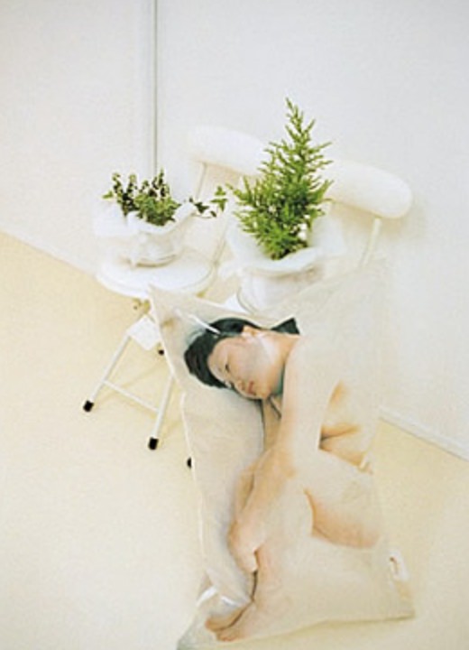 田邉 晴子「眠れる部屋」