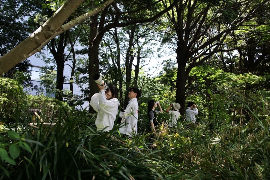 キヤノン 下丸子の森