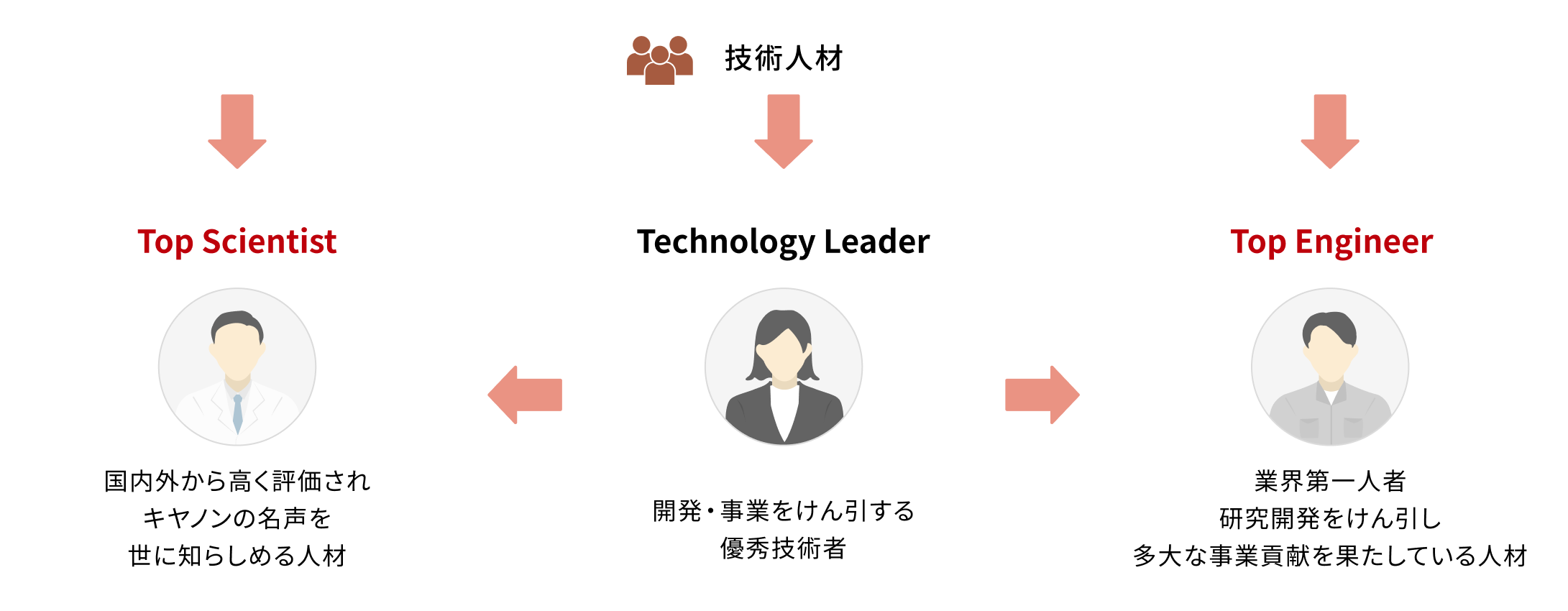 技術人材 【Top Scientist】国内外から高く評価されキヤノンの名声を世に知らしめる人材 【Technology Leader】開発・事業をけん引する優秀技術者 【Top Engineer】業界第一人者 研究開発をけん引し多大な事業貢献を果たしている人材