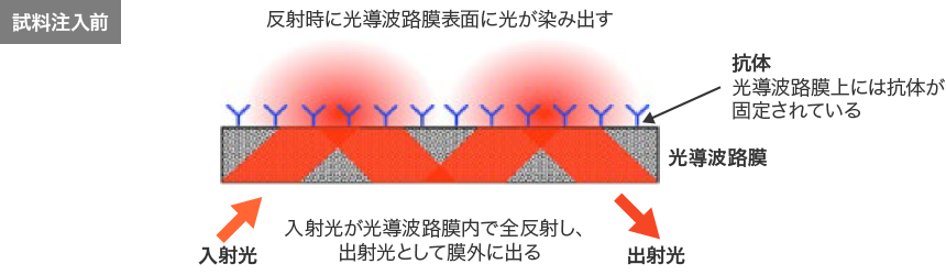 検査手順・判定方法説明図