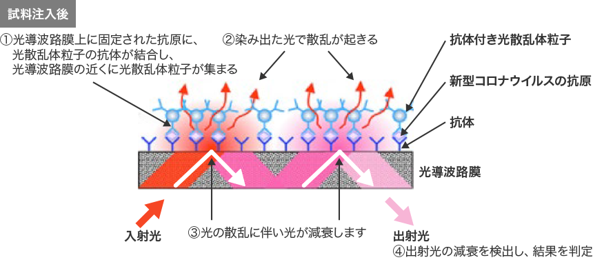 検査手順・判定方法説明図