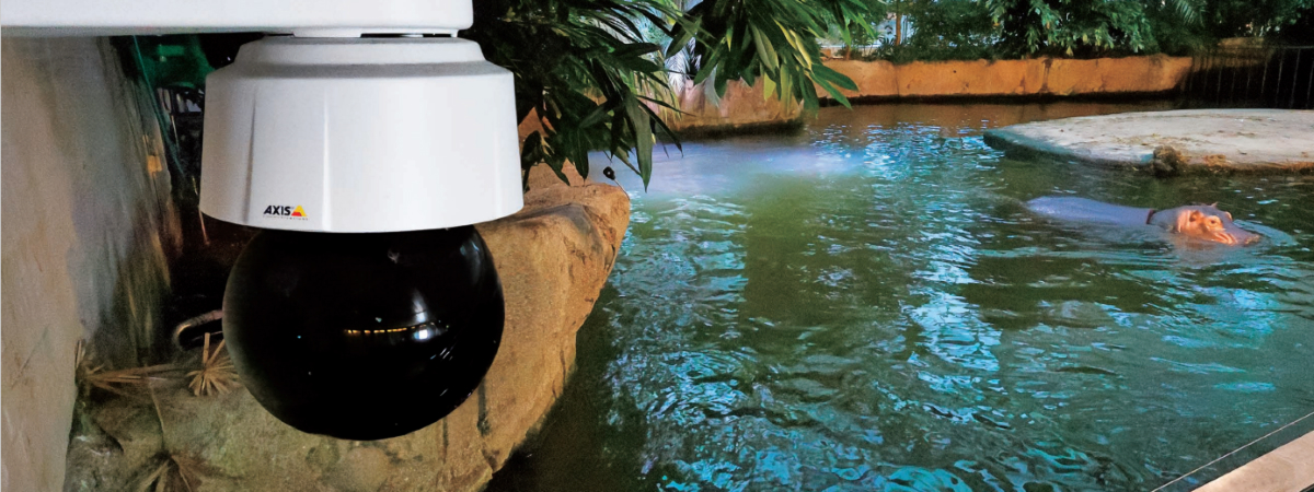 動物園の安心・安全を陰で支えるネットワークカメラシステムのメインビジュアル