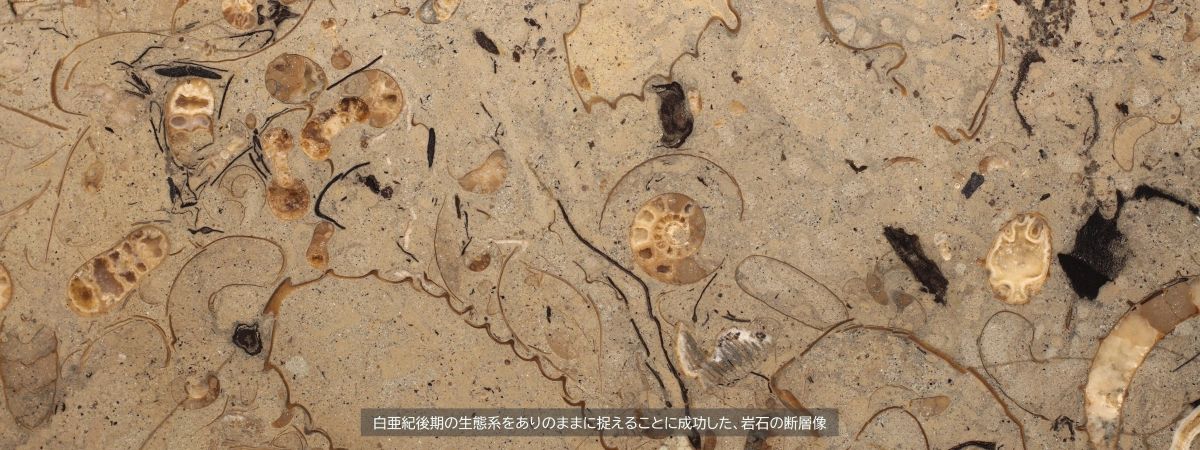 情報量1億倍の化石探査が実現