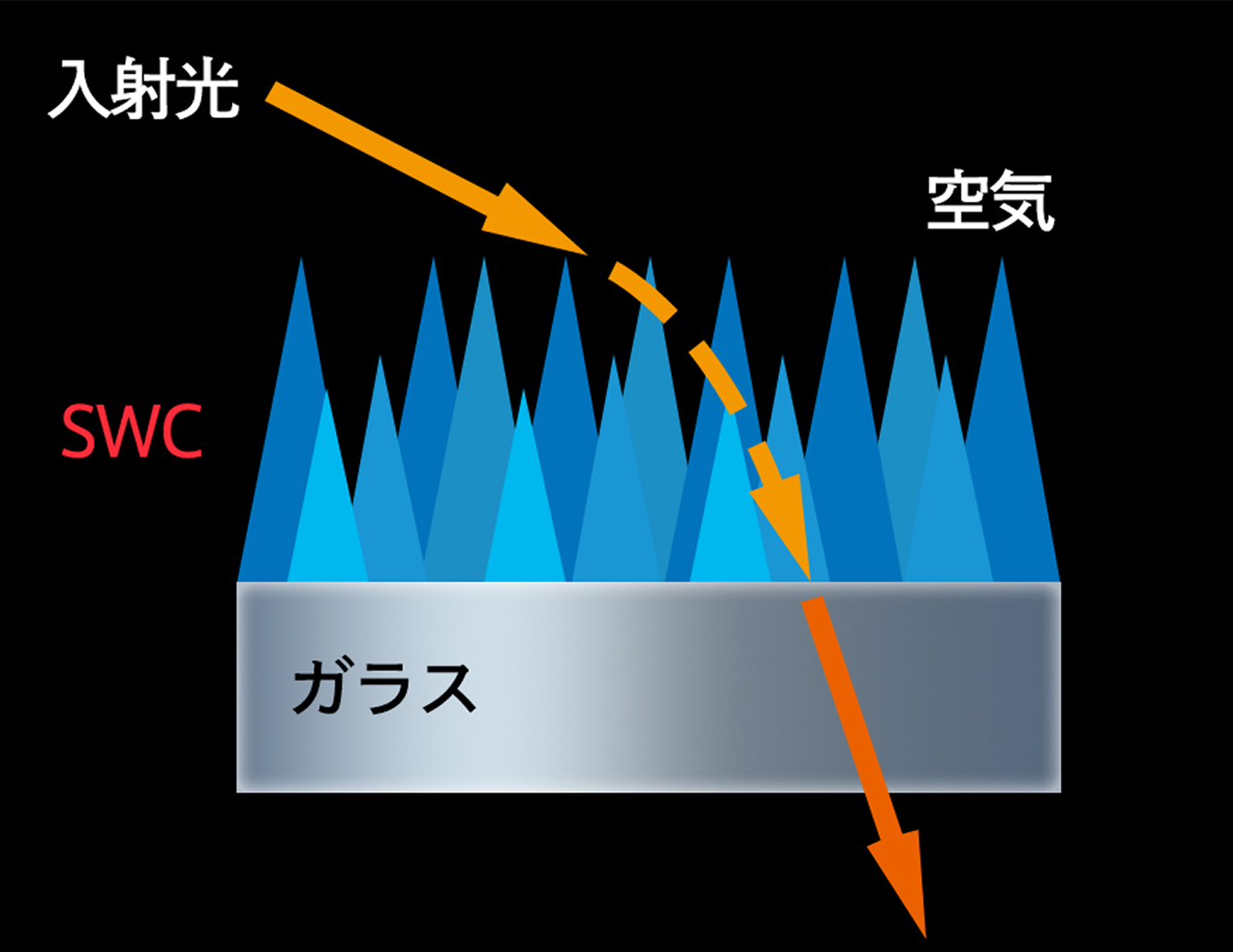 SWCの構造イメージ図です。