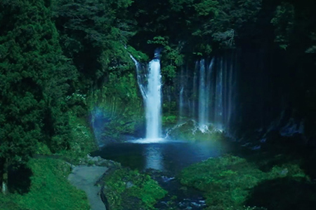 超高感度多目的カメラ「ME20F-SH」で撮影した写真