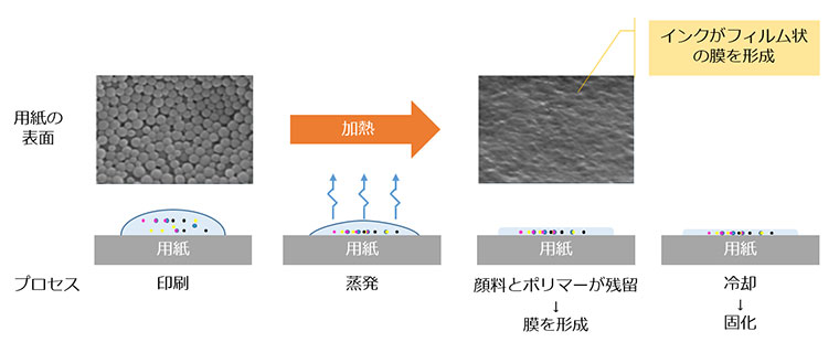 加熱・冷却により強固な膜を形成する工程の説明図