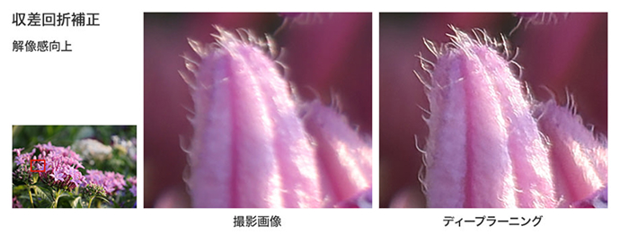 撮像画像とディープラーニング処理後の画像比較です。