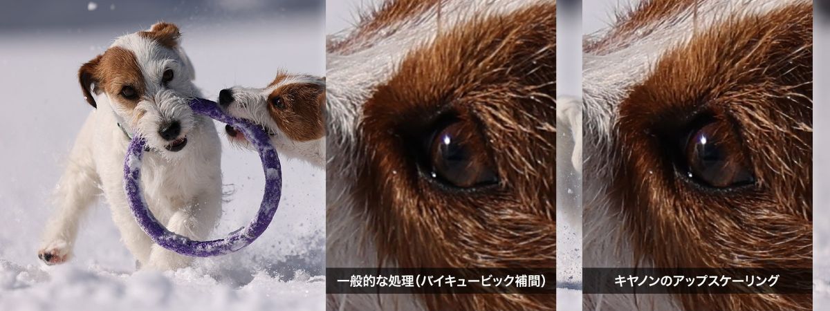 ニューラルネットワークアップスケーリング技術