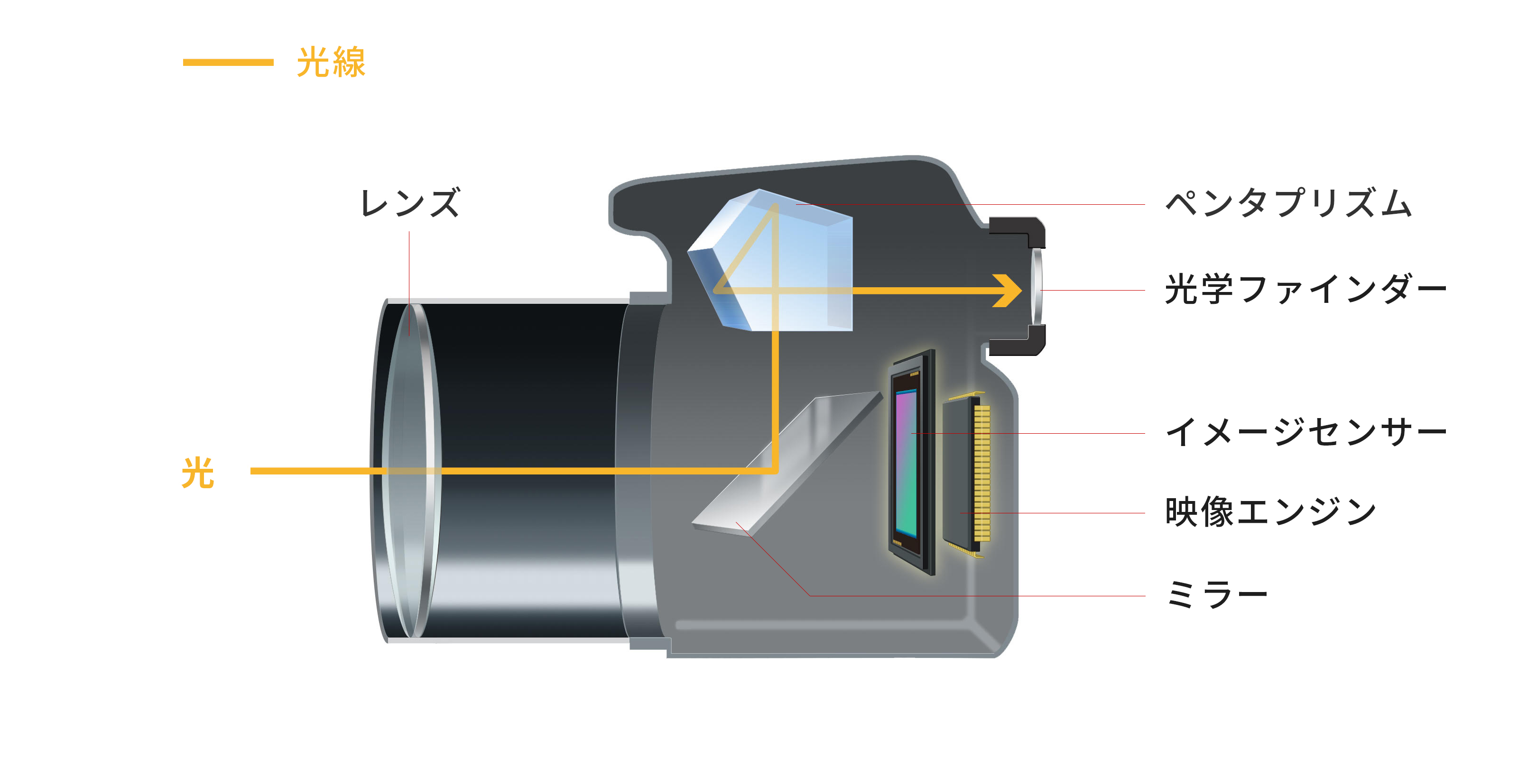 ミラーレスカメラとの違い