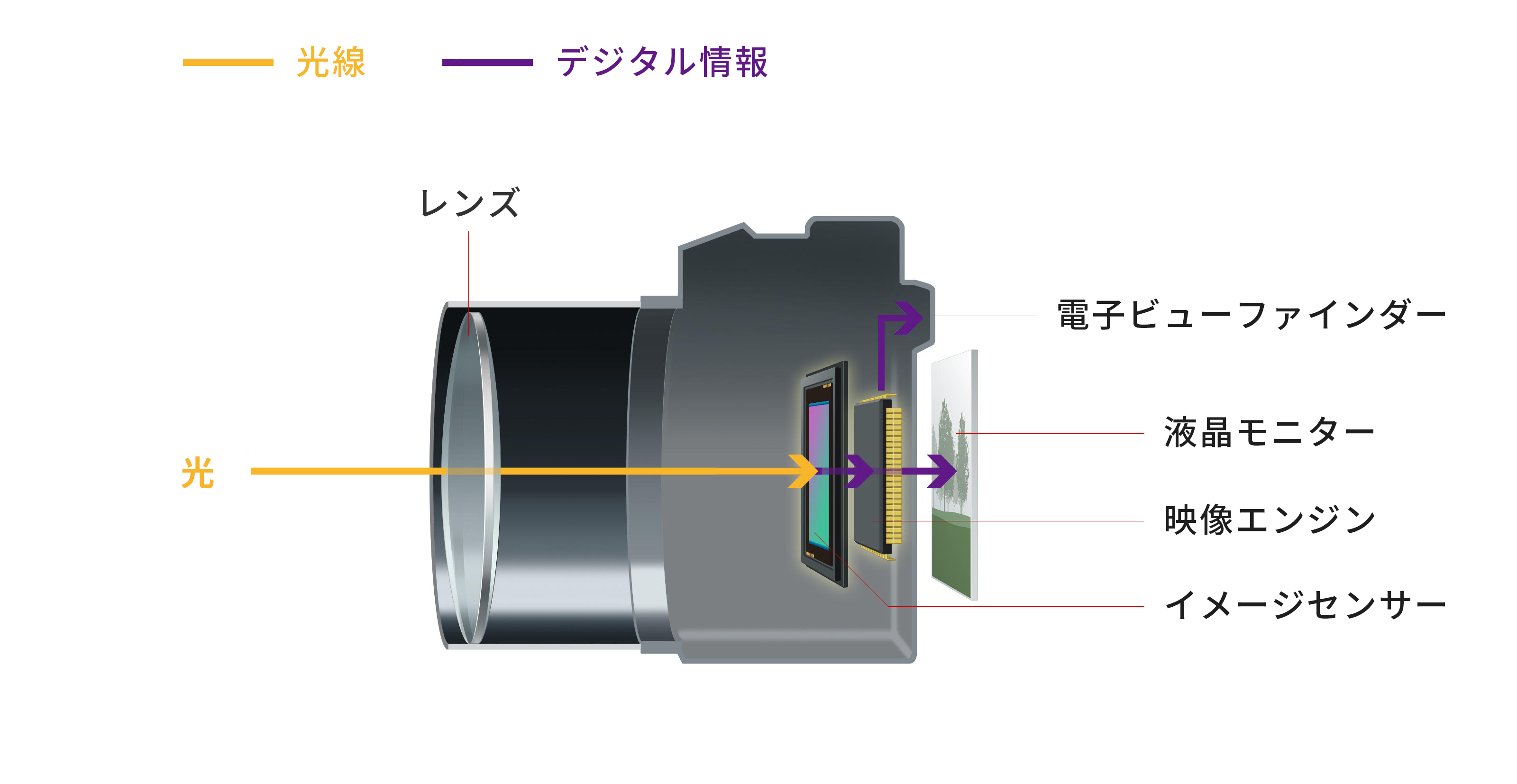 ペンタプリズムの模式図