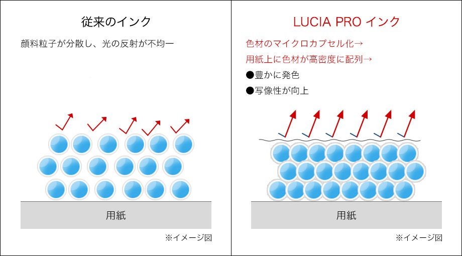 光沢紙、半光沢紙へのプリントにおける従来のインクとLUCIA PROインクの違い