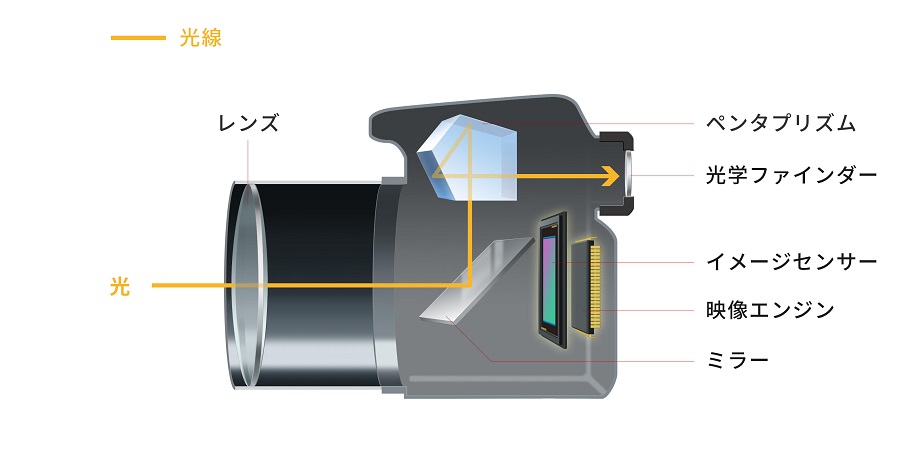 一眼レフカメラ内部の断面図