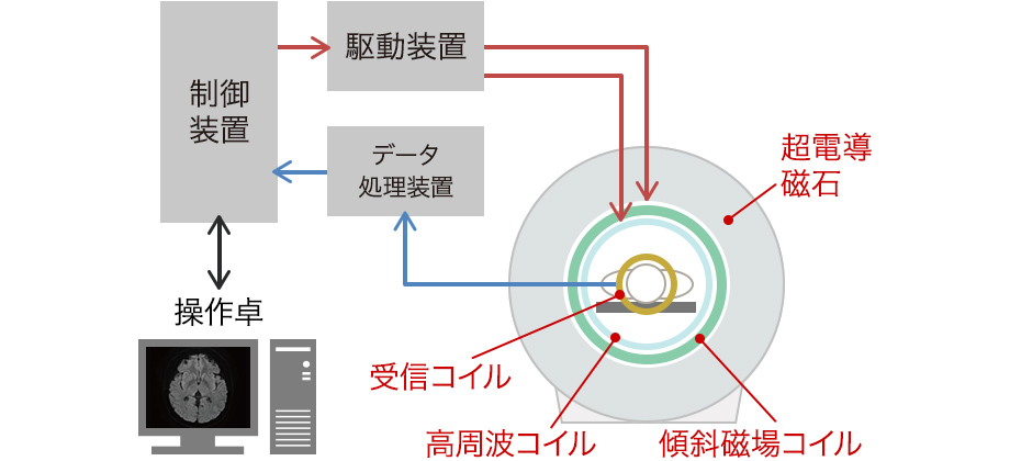 磁場と電波を使って体内を画像化するしくみ